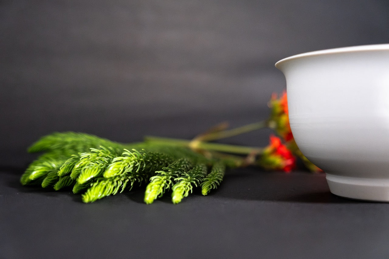 Lantana Gaiwan and Cup Set